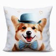 corgi