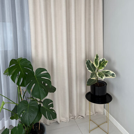 IMG_2025-12-22-224204 (1)