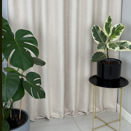 IMG_2025-12-22-224240