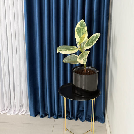 IMG_2025-12-15-185032