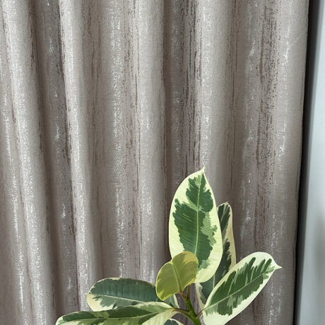 IMG_2025-12-15-190020